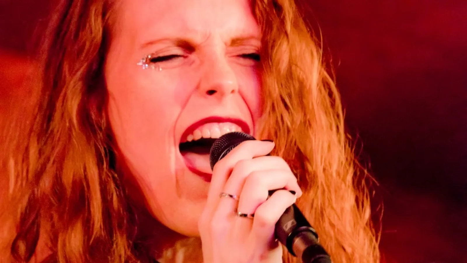 annalisa ferrarotti cantante